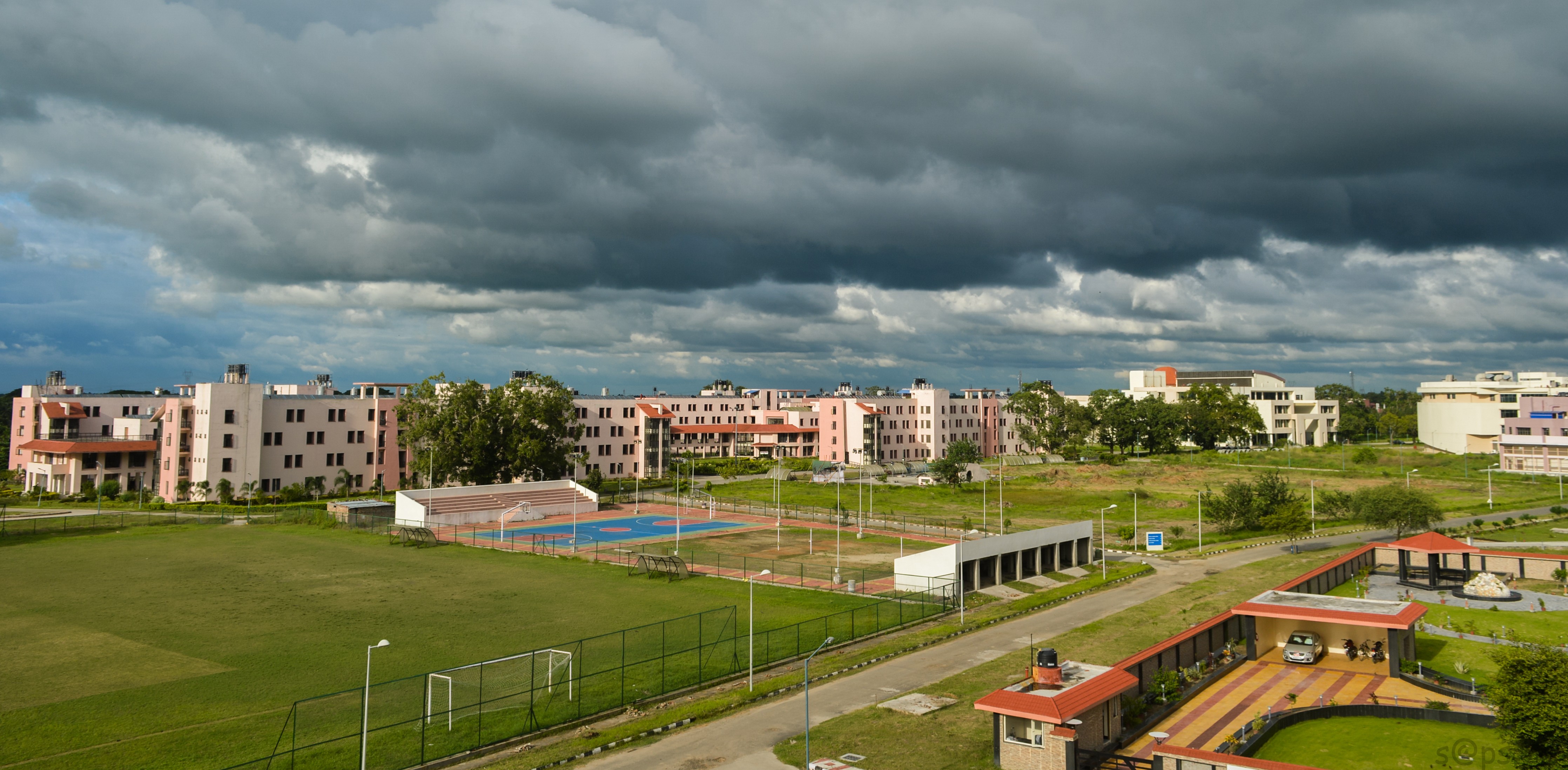 Chemical Biology Illustration 7